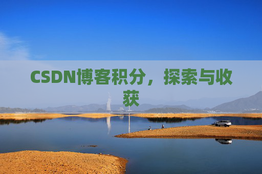 CSDN博客积分,探索与收获